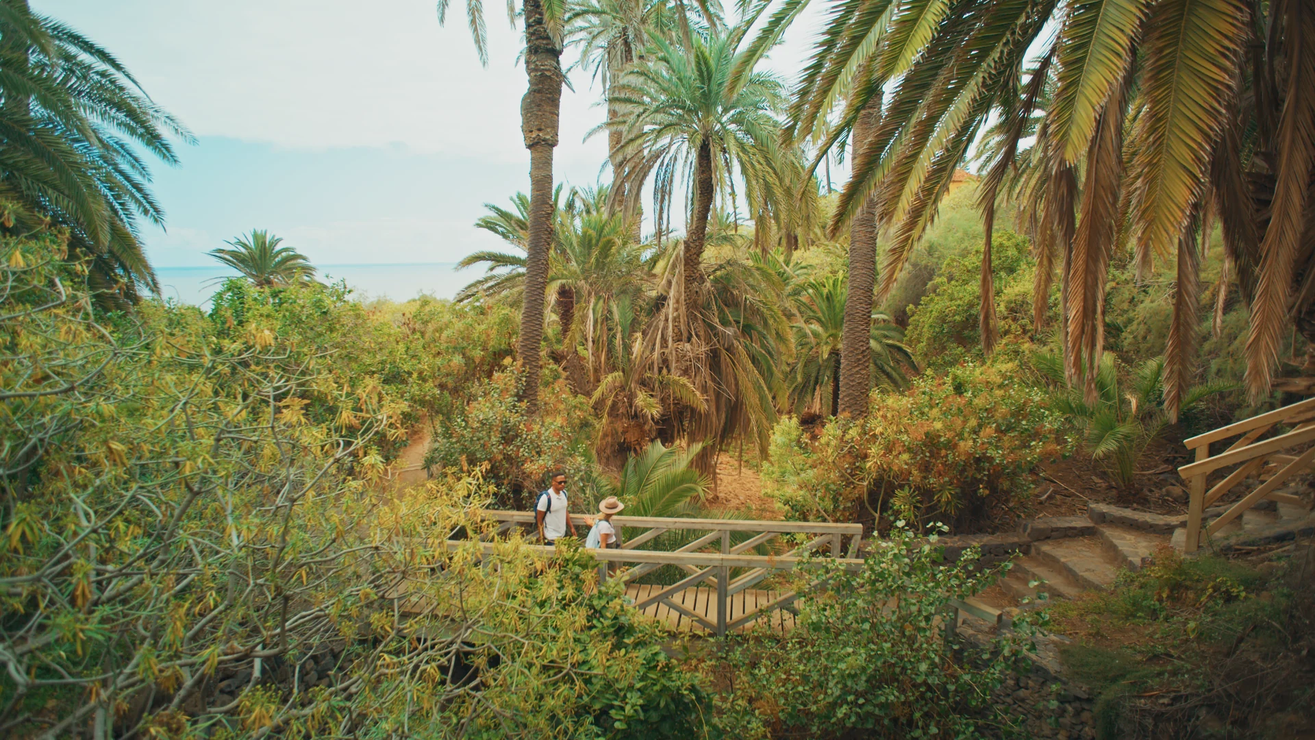 TUI BLUE — still 16, color grading by Janik Schoebel